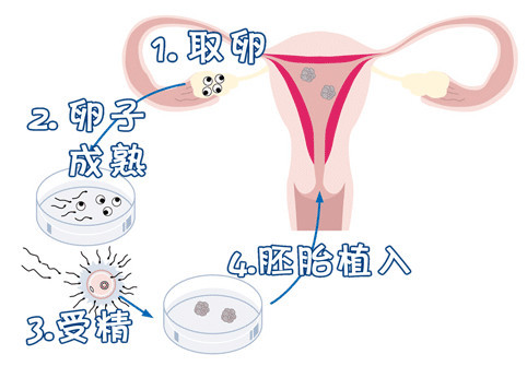 实验室3